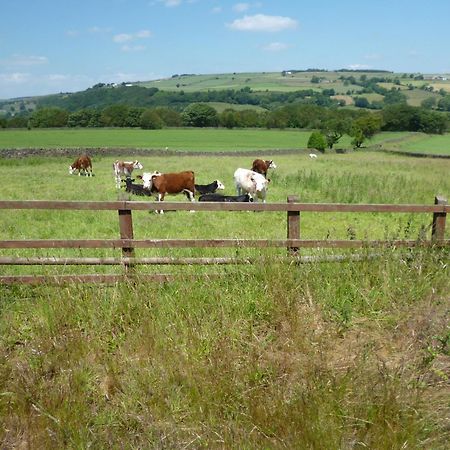 Bradfield帕德利农场旅馆公寓 外观 照片